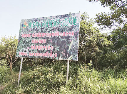 XPJ·(澳门区)公司官方网站