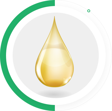 XPJ·(澳门区)公司官方网站