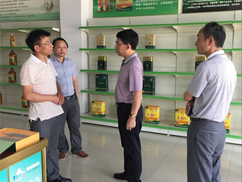 XPJ官网,油茶种植出产加工销售,植物油种植出产加工销售